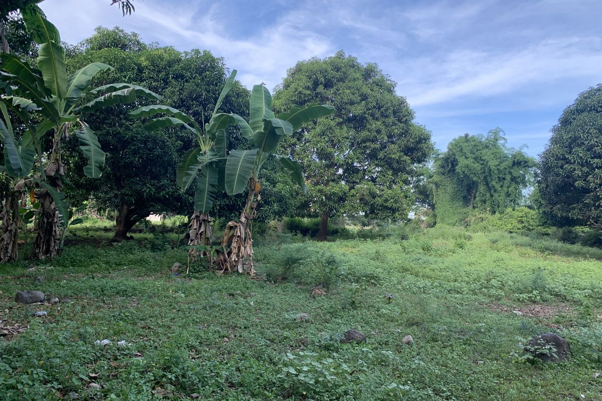 Land for Sale in Bolocboloc, Sibulan, Negros Oriental