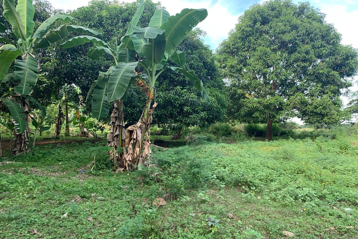Land for Sale in Bolocboloc, Sibulan, Negros Oriental – photo 6