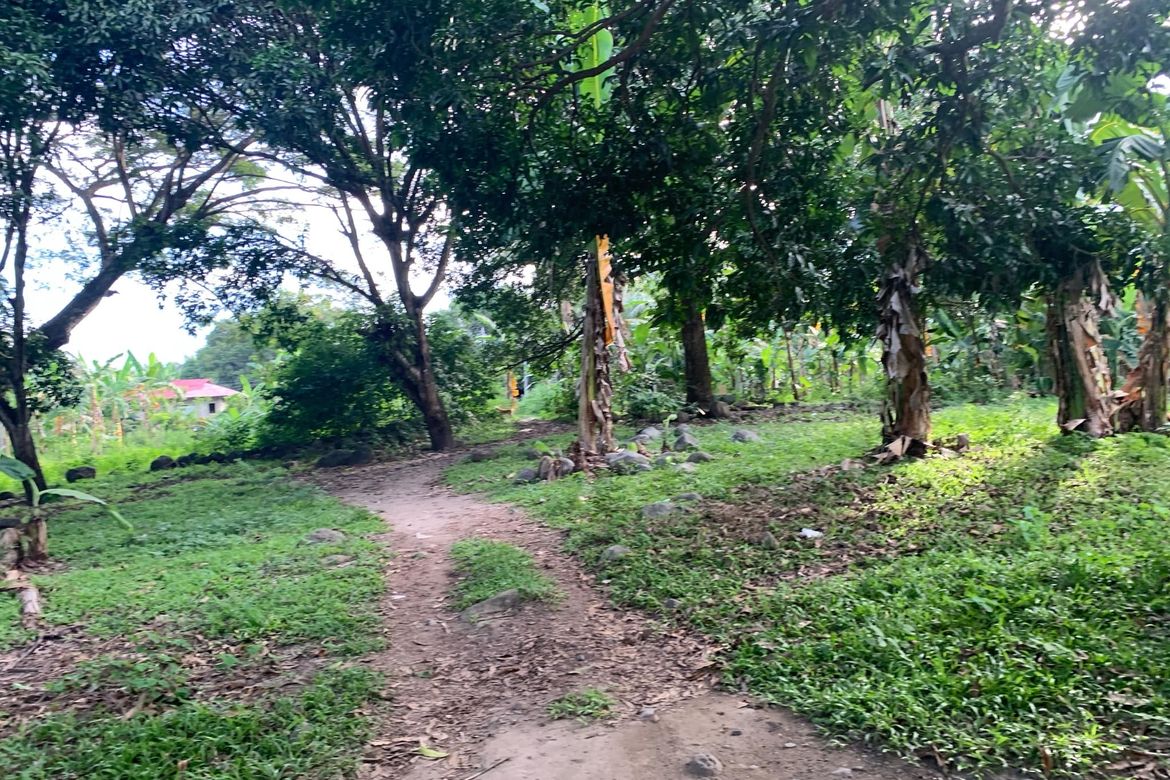 Land for Sale in Bolocboloc, Sibulan, Negros Oriental – photo 7