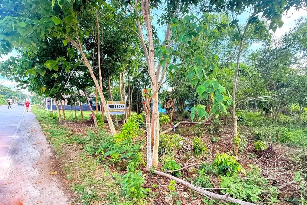 Land for Sale in Bolod, Panglao, Bohol – photo 2
