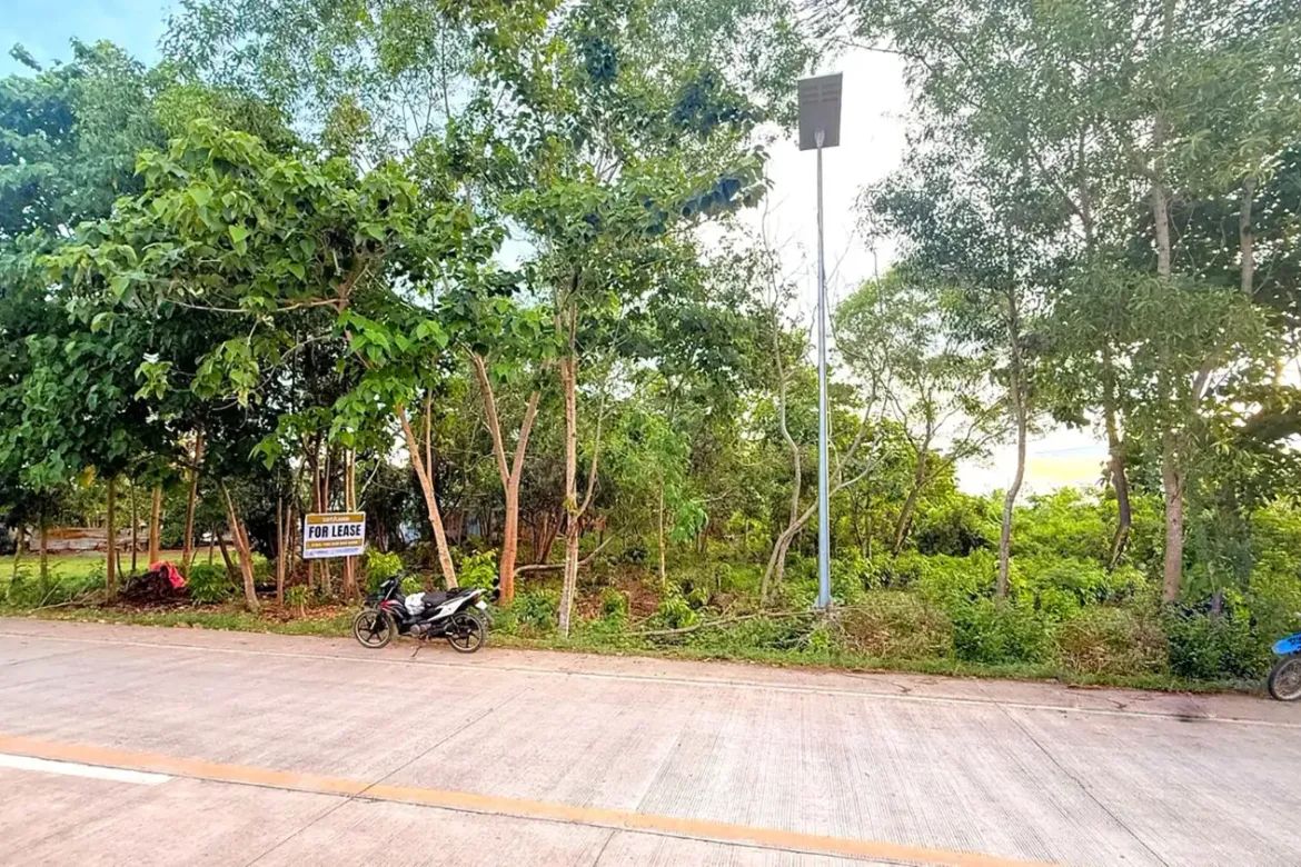 Land for Sale in Bolod, Panglao, Bohol – photo 5