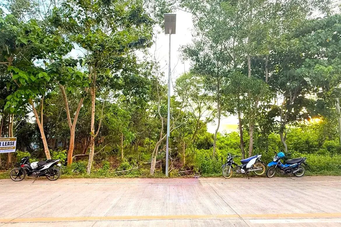 Land for Sale in Bolod, Panglao, Bohol – photo 6