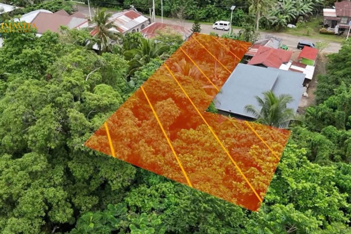 Land for Sale in Bolod, Panglao, Bohol – photo 4
