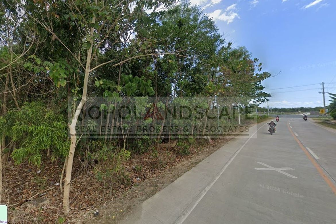 Land for Sale in Bolod, Panglao, Bohol – photo 6