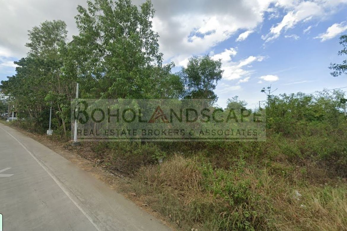 Land for Sale in Bolod, Panglao, Bohol – photo 7