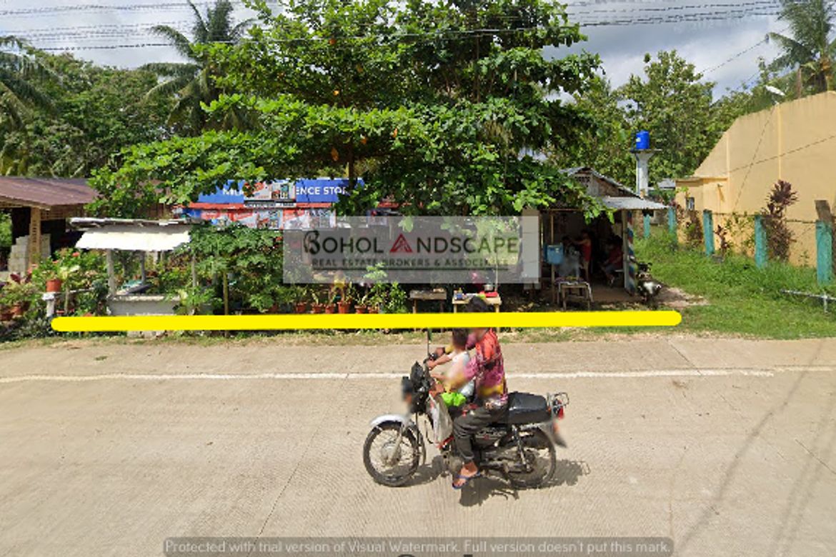 Land for Sale in Bolod, Panglao, Bohol – photo 6