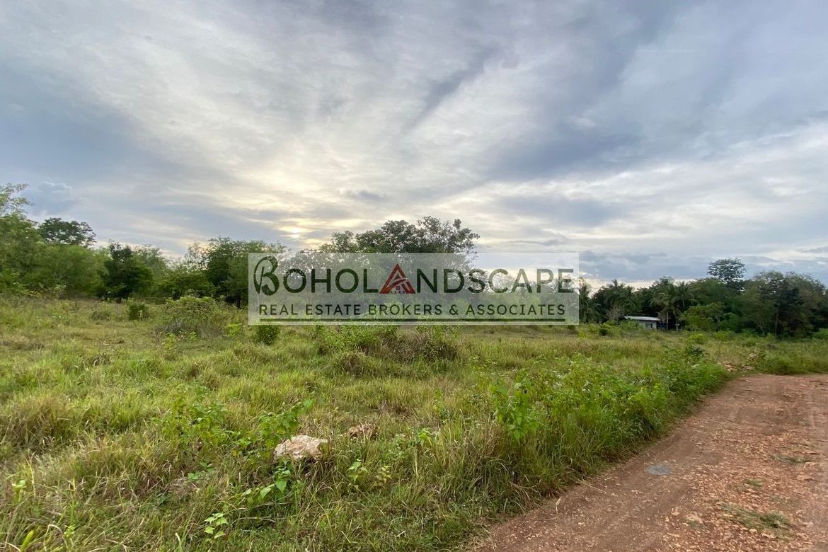 Land for Sale in Bolod, Panglao, Bohol – photo 3