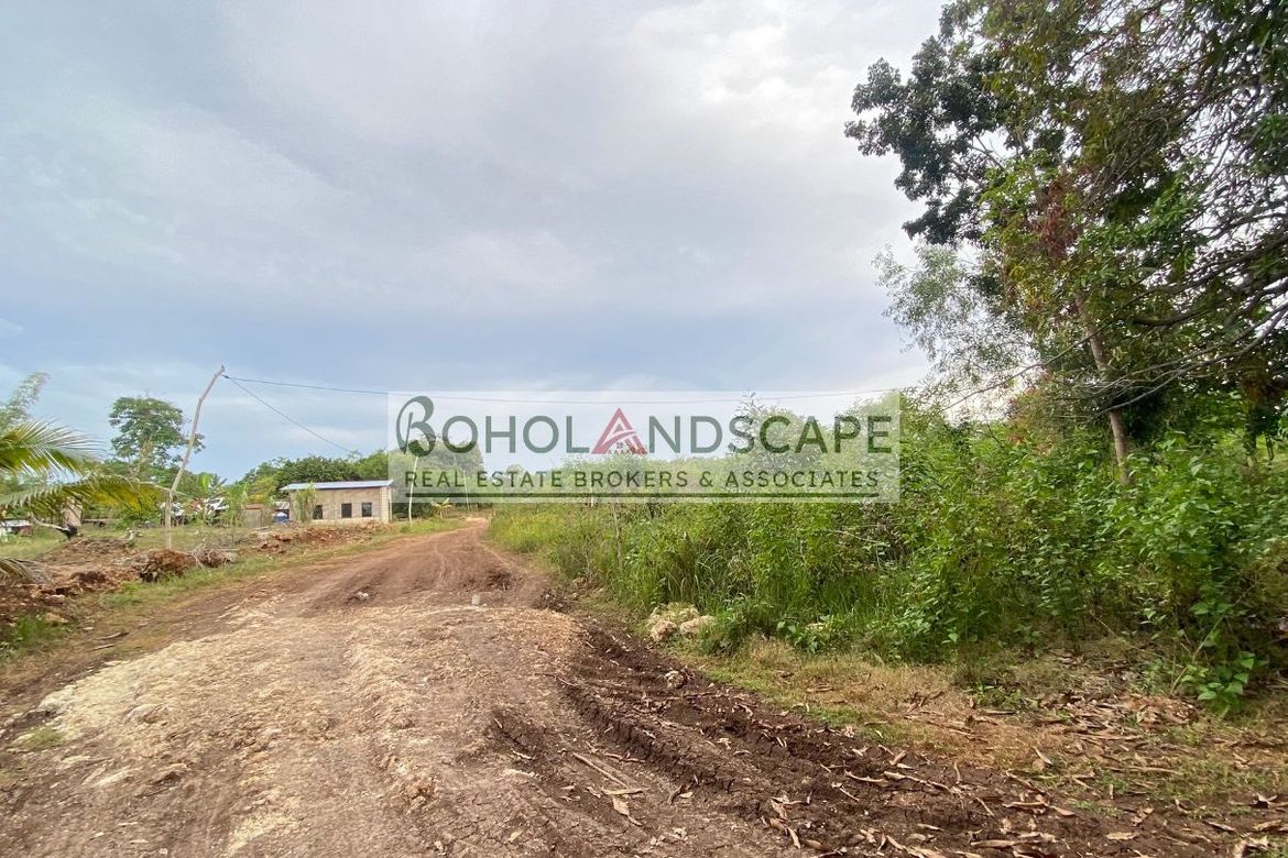 Land for Sale in Bolod, Panglao, Bohol – photo 5