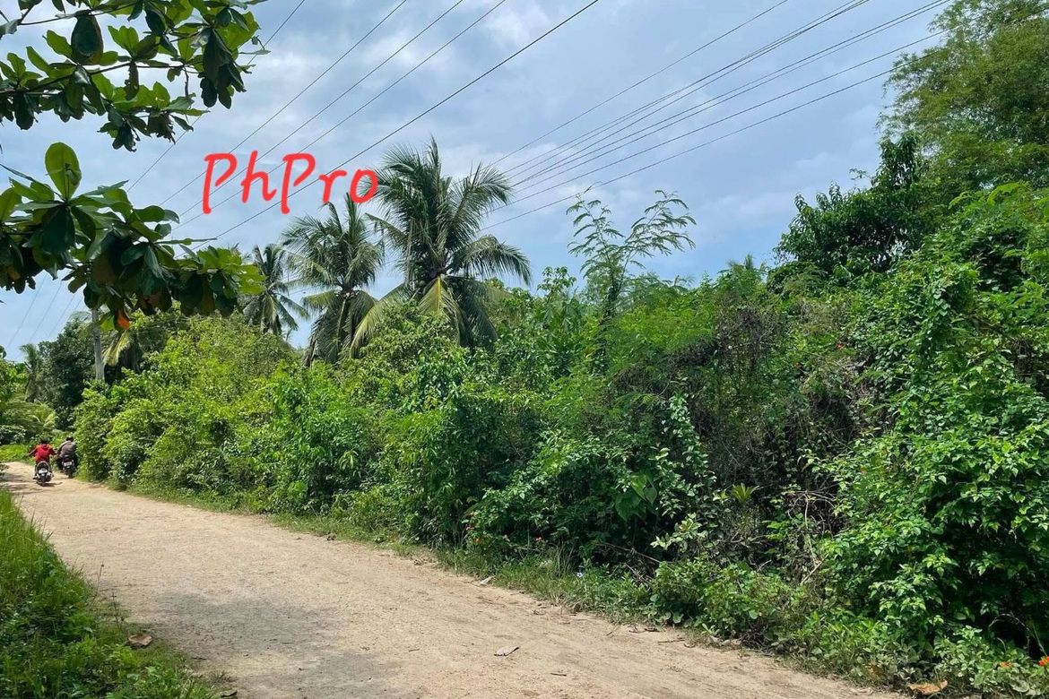 Land for Sale in Bolod, Panglao, Bohol