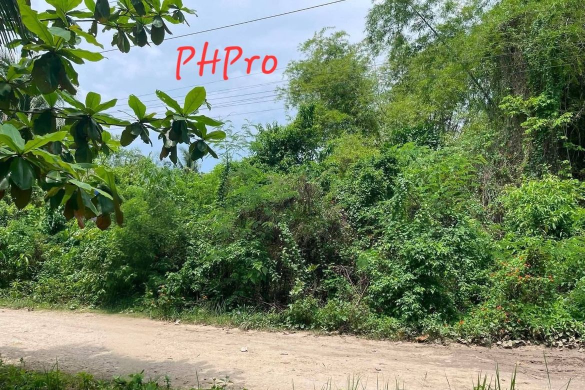 Land for Sale in Bolod, Panglao, Bohol – photo 2