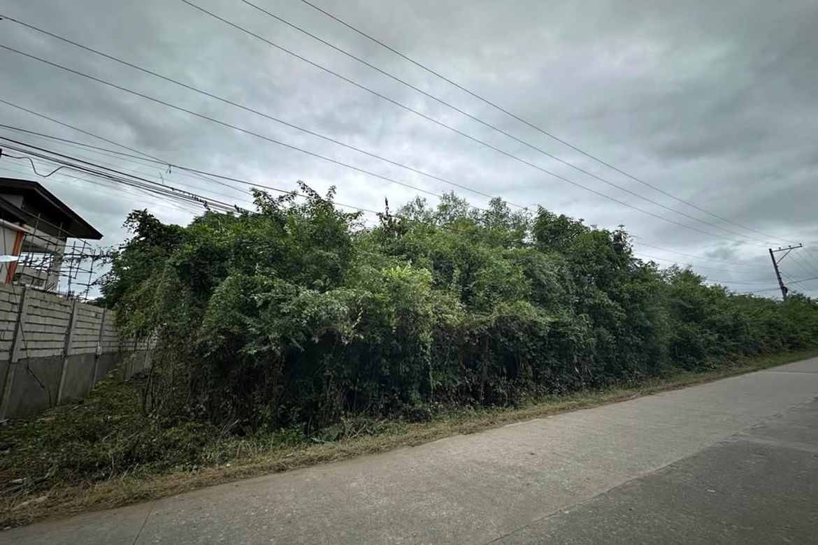 Land for Sale in Bolod, Panglao, Bohol – photo 2