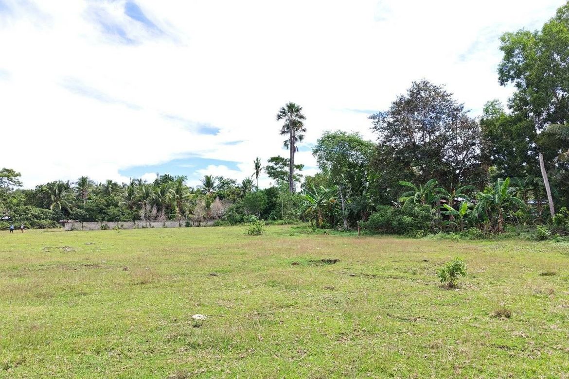 Land for Sale in Bolod, Panglao, Bohol – photo 2