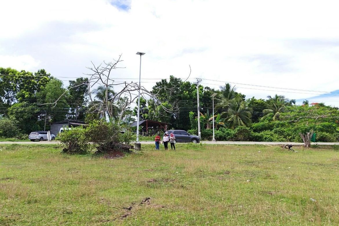 Land for Sale in Bolod, Panglao, Bohol – photo 5