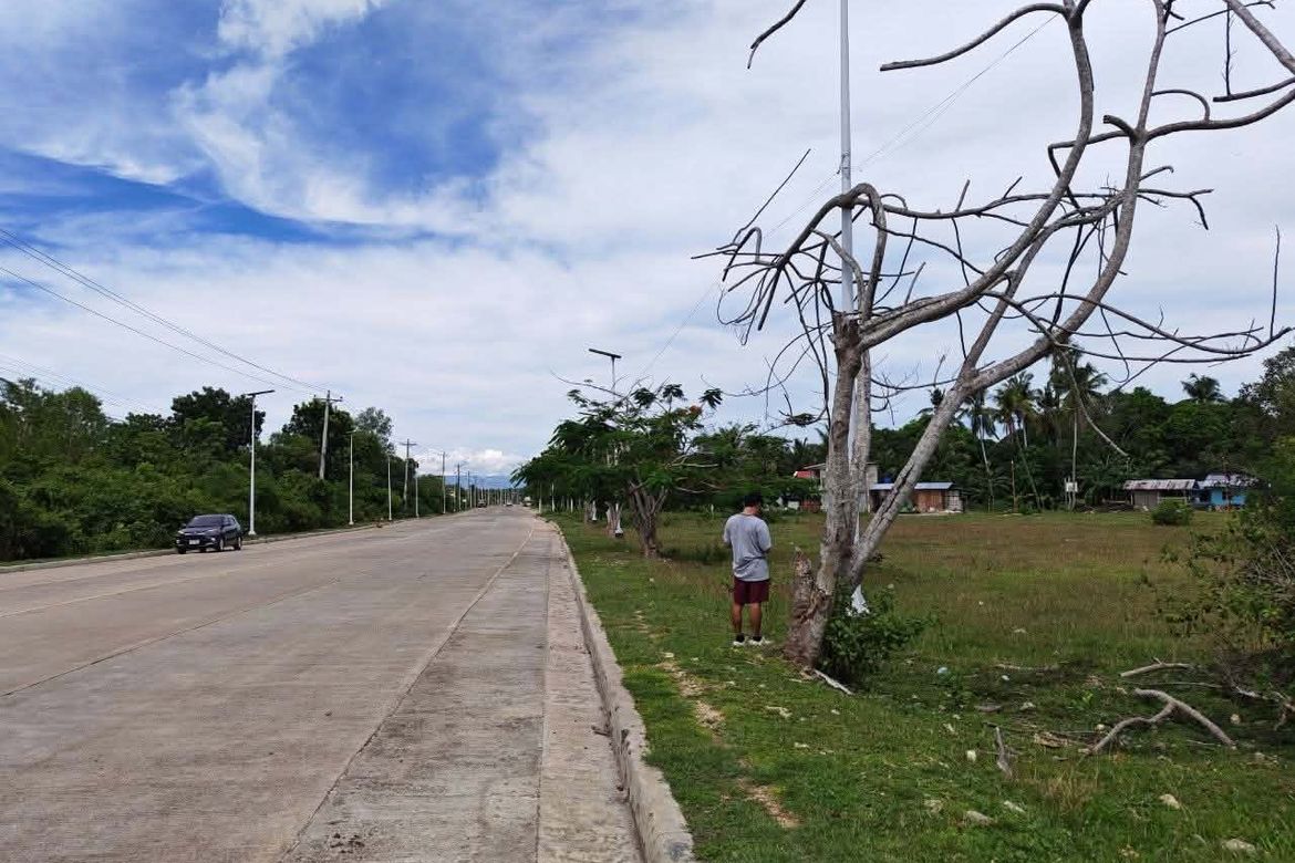 Land for Sale in Bolod, Panglao, Bohol – photo 8