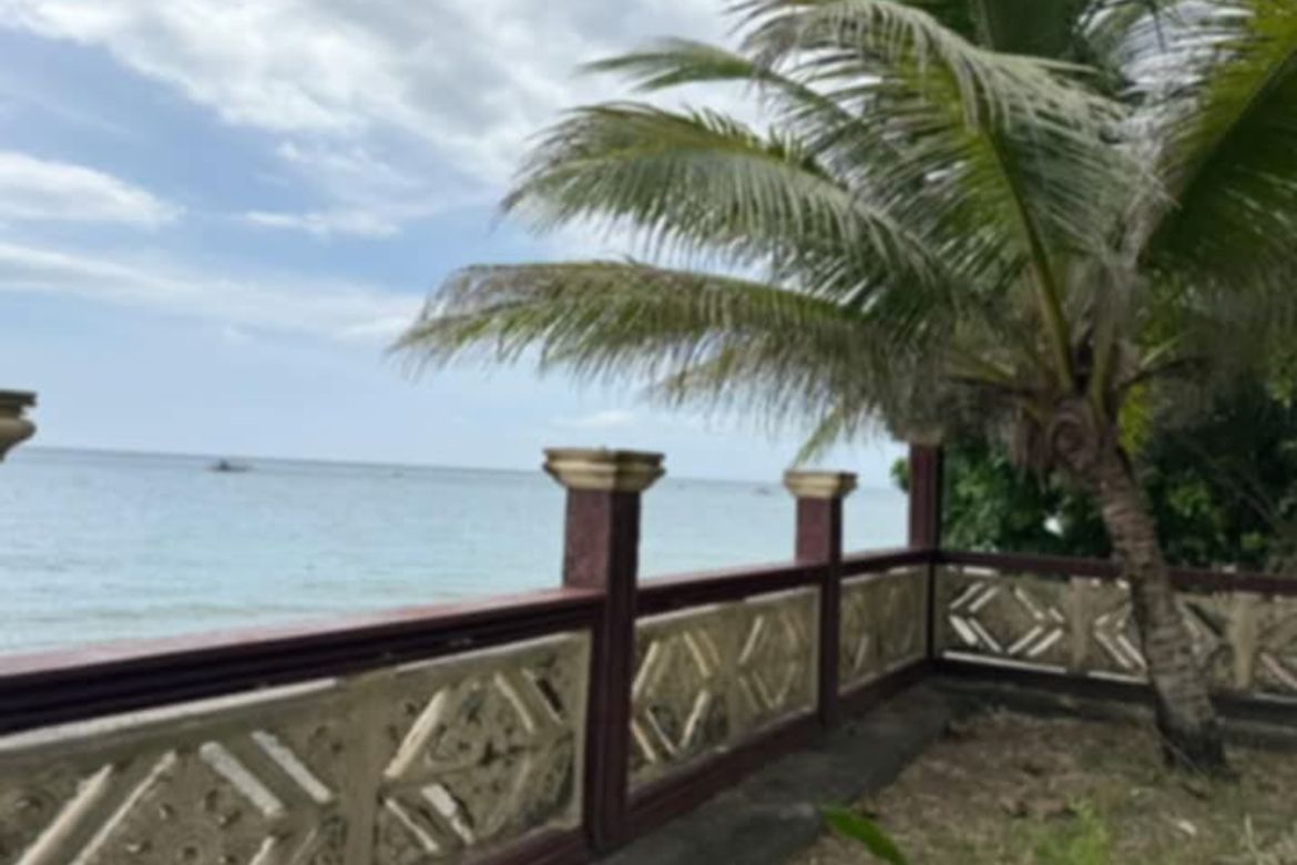 Land for Sale in Bonawon, Siaton, Negros Oriental – photo 2