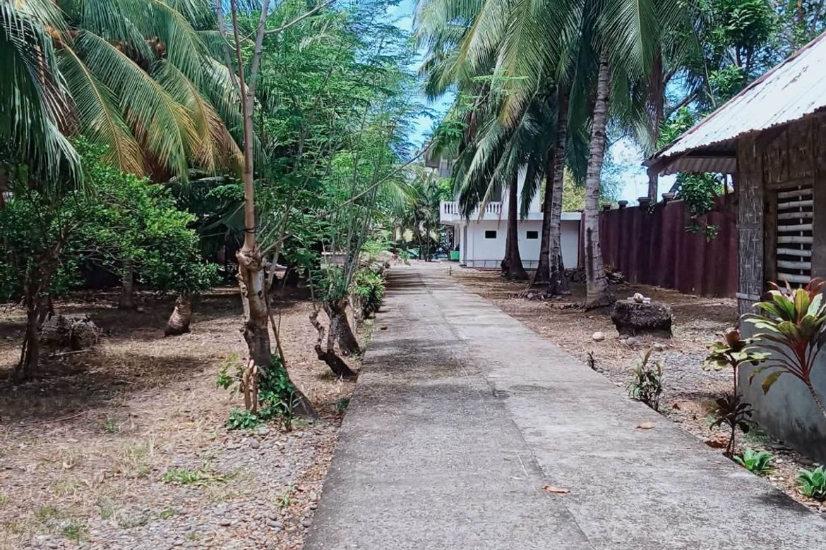 Land for Sale in Bonawon, Siaton, Negros Oriental – photo 8