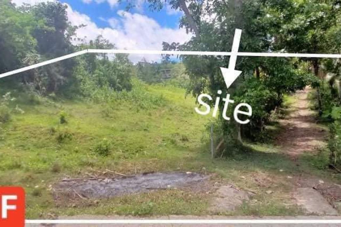 Land for Sale in Bonbon, Cebu City, Cebu