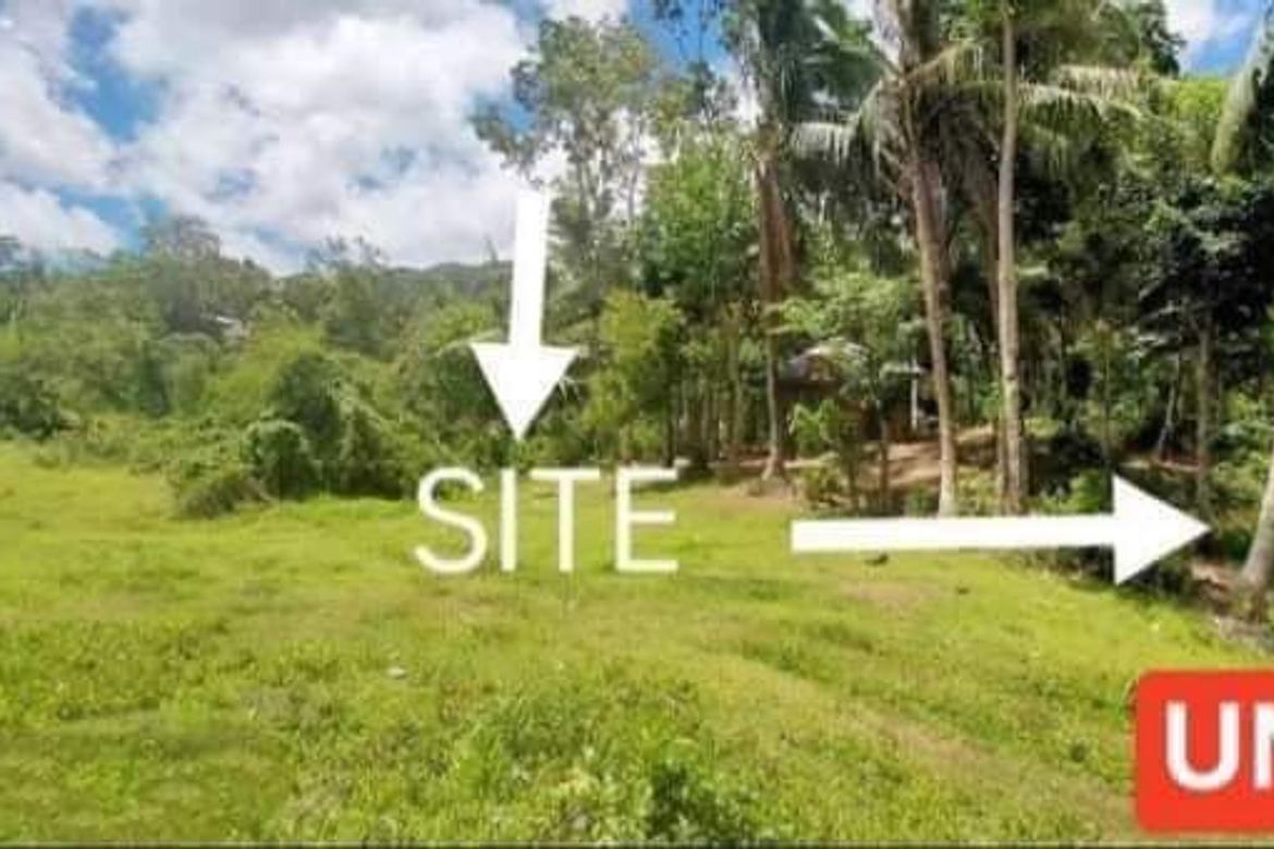 Land for Sale in Bonbon, Cebu City, Cebu – photo 2