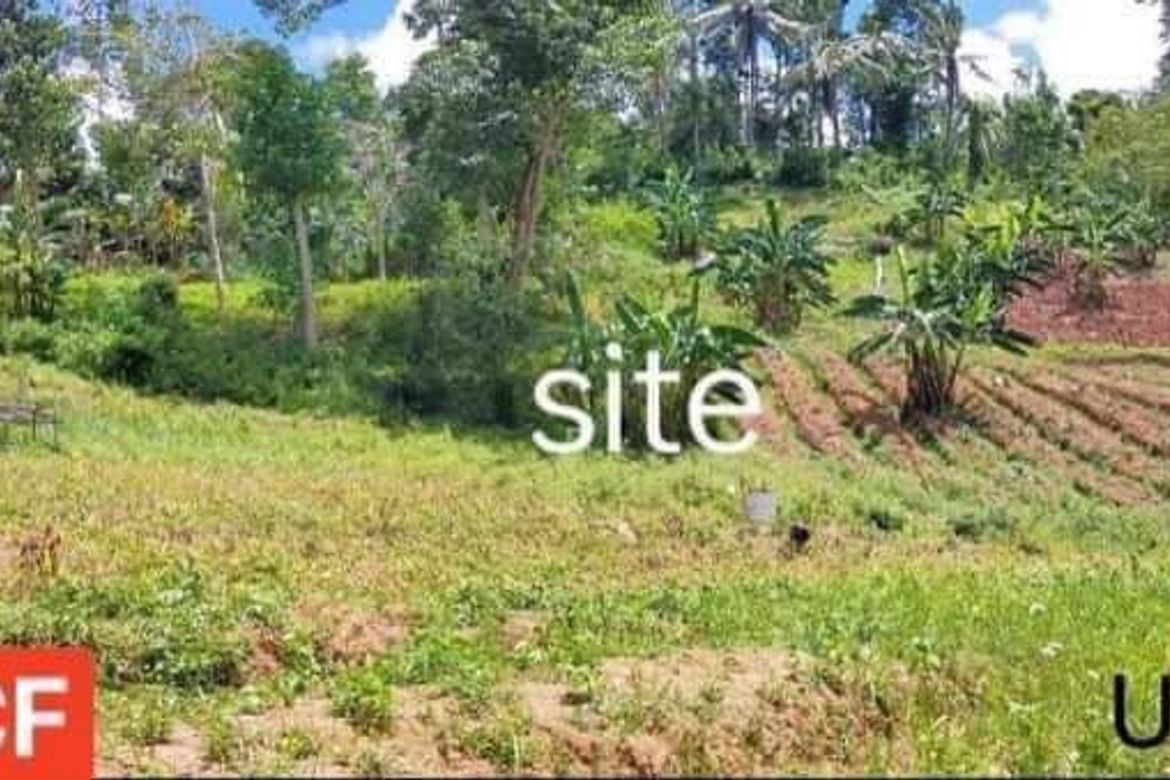 Land for Sale in Bonbon, Cebu City, Cebu – photo 4