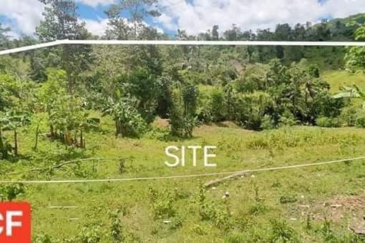 Land for Sale in Bonbon, Cebu City, Cebu – photo 6
