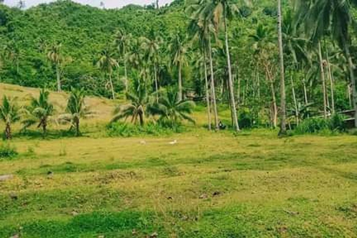 Land for Sale in Bonbon, Cebu City, Cebu – photo 3