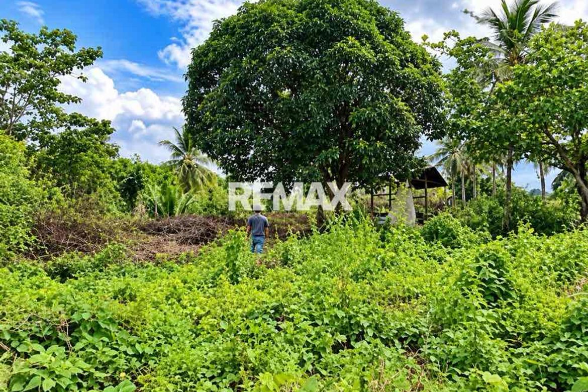 Land for Sale in Bonbon, Opol, Misamis Oriental