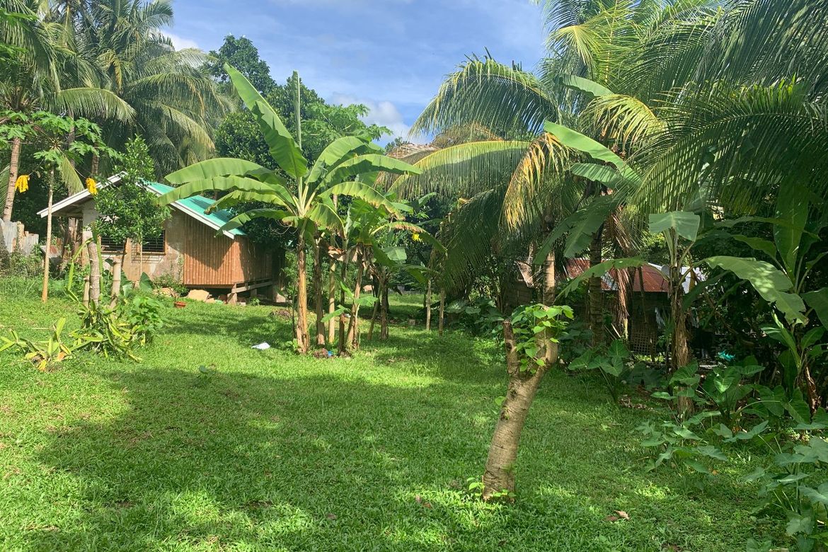 Land for Sale in Bong-Ao, Valencia, Negros Oriental