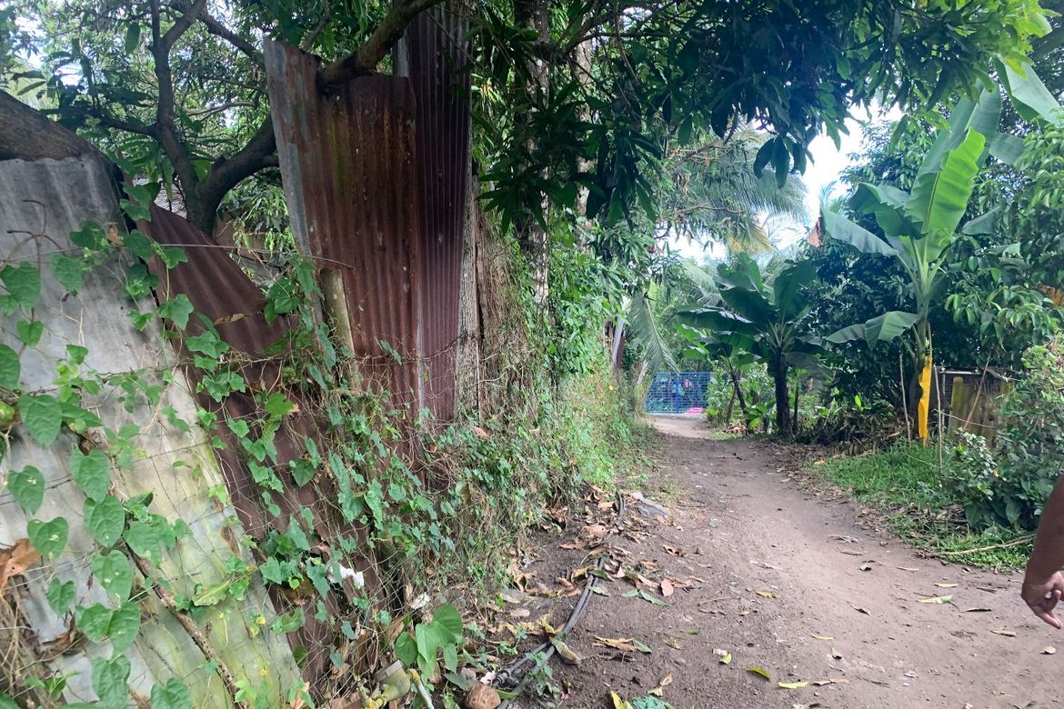 Land for Sale in Bong-Ao, Valencia, Negros Oriental – photo 2