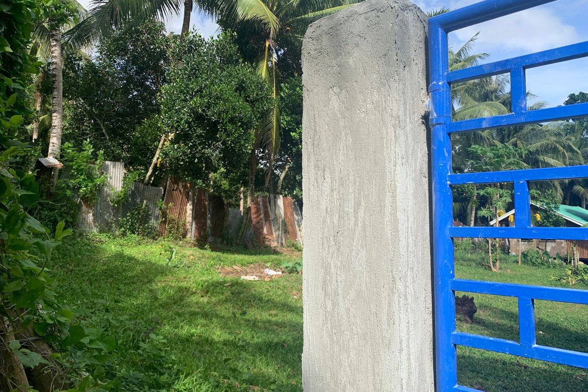Land for Sale in Bong-Ao, Valencia, Negros Oriental – photo 5