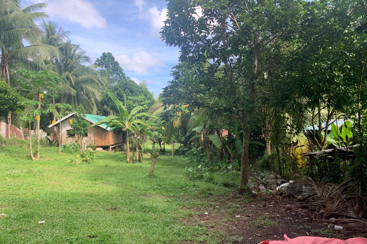 Land for Sale in Bong-Ao, Valencia, Negros Oriental – photo 6