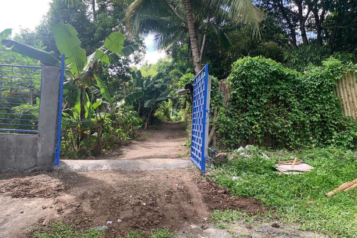 Land for Sale in Bong-Ao, Valencia, Negros Oriental – photo 7