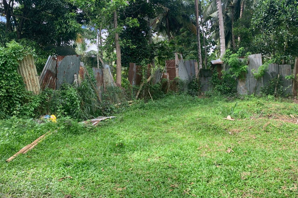 Land for Sale in Bong-Ao, Valencia, Negros Oriental – photo 8