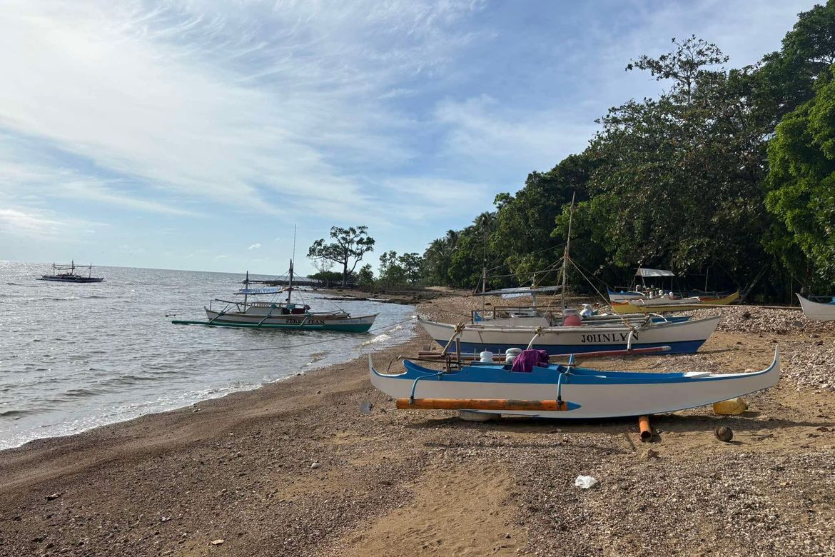 Land for Sale in Bongalonan, Basay, Negros Oriental