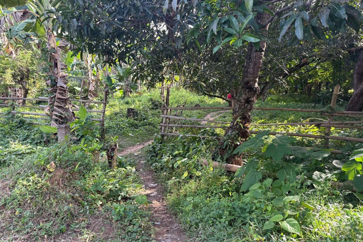 Land for Sale in Bongalonan, Basay, Negros Oriental – photo 5
