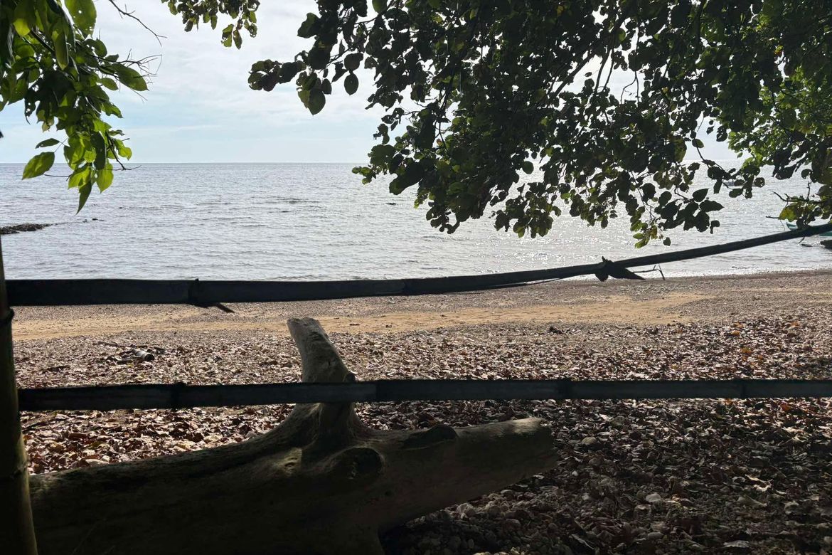 Land for Sale in Bongalonan, Basay, Negros Oriental – photo 6