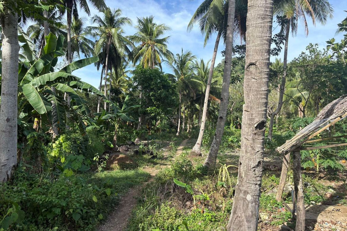 Land for Sale in Bongalonan, Basay, Negros Oriental – photo 8