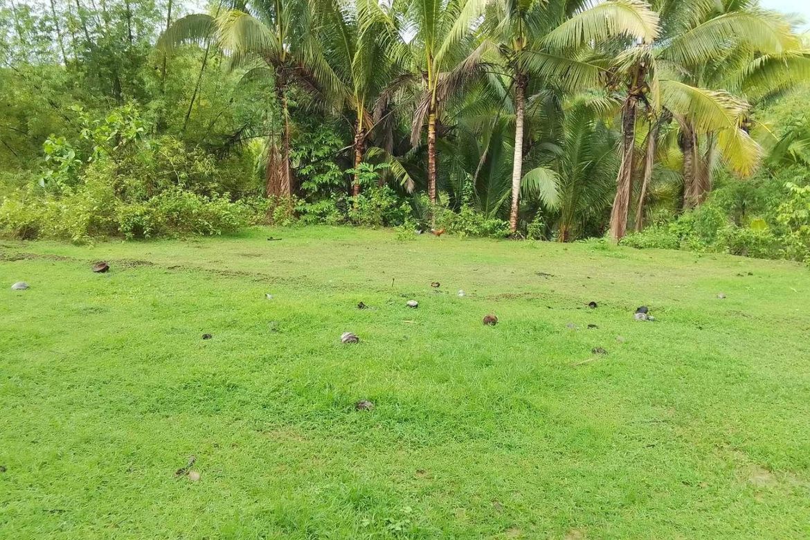 Land for Sale in Bongbongan I-Ii, Hamtic, Antique
