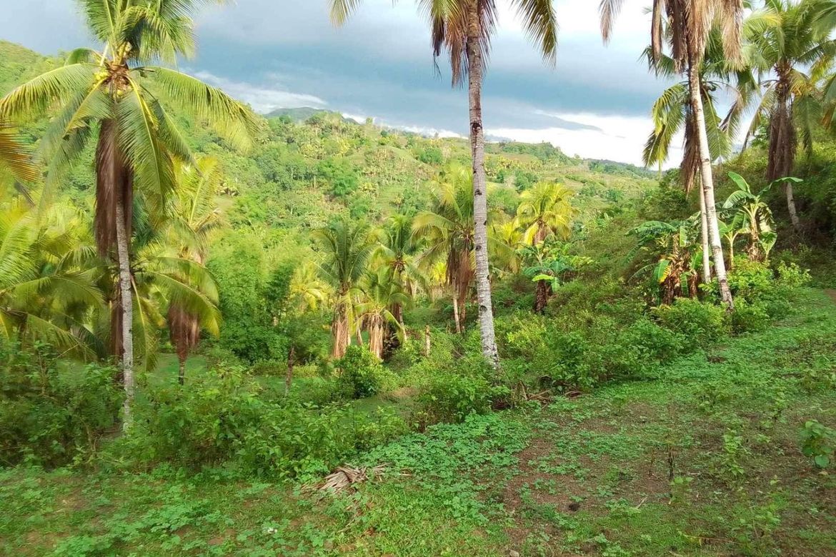 Land for Sale in Bongbongan I-Ii, Hamtic, Antique – photo 7