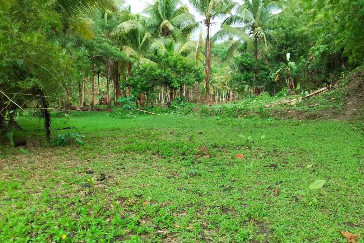 Land for Sale in Bongbongan I-Ii, Hamtic, Antique – photo 8