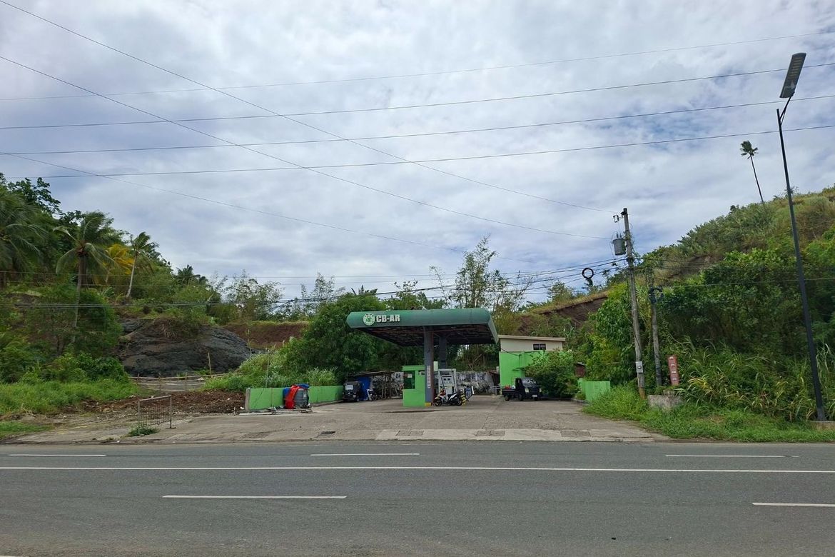 Land for Sale in Bonifacio, Surigao City, Surigao del Norte – photo 2