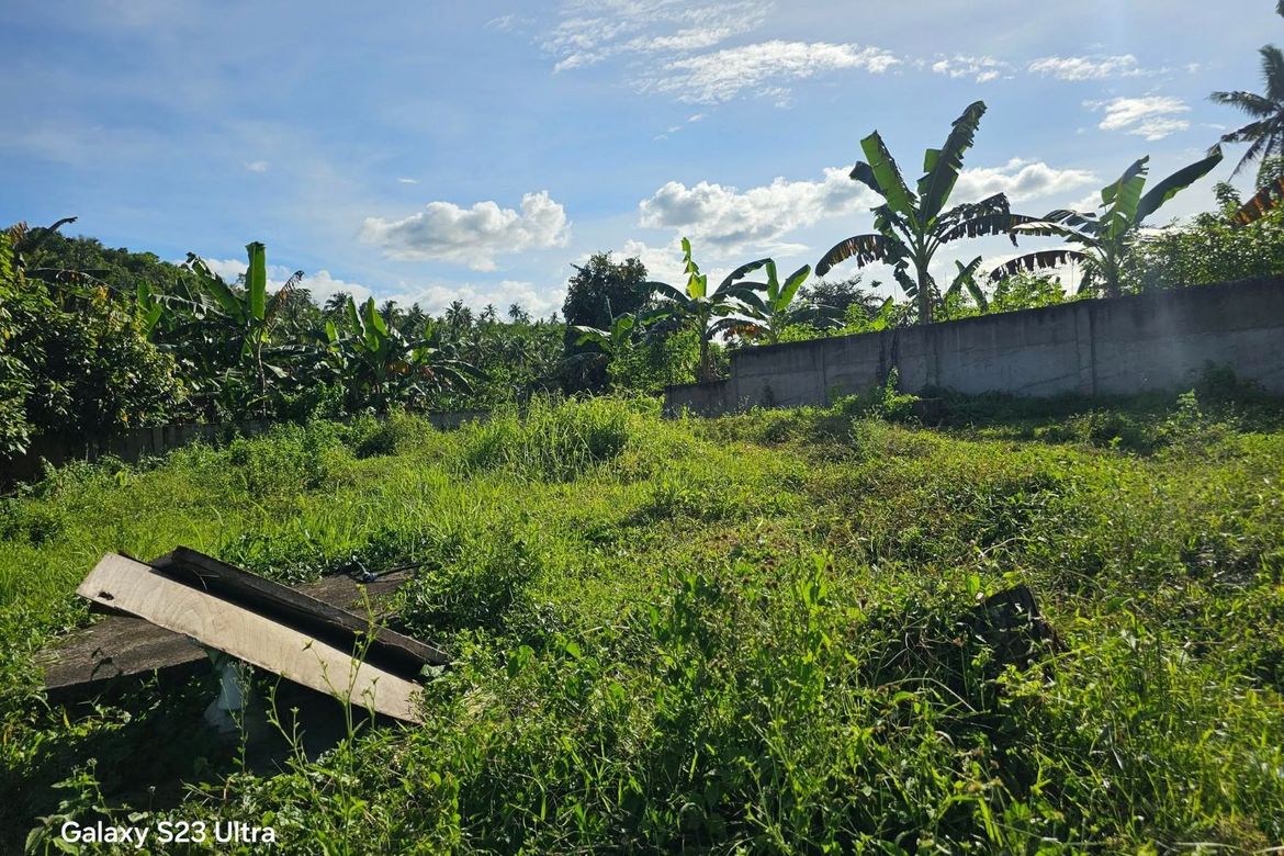 Land for Sale in Bontud, Clarin, Bohol – photo 3