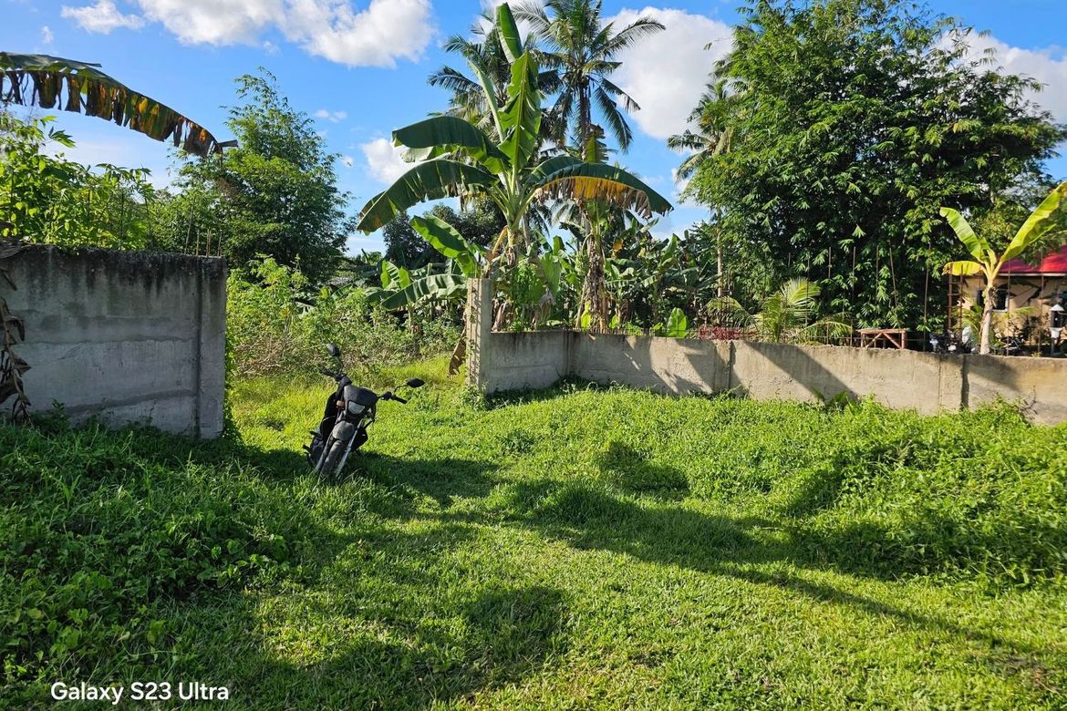 Land for Sale in Bontud, Clarin, Bohol – photo 4