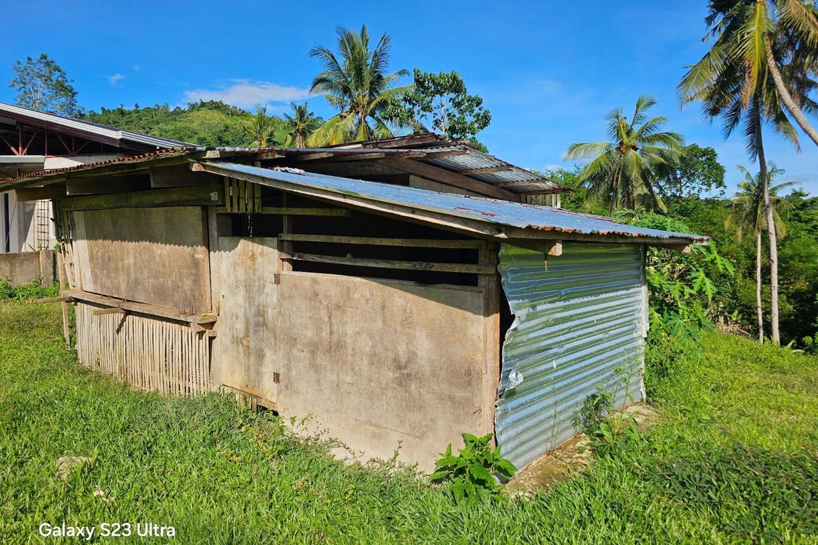 Land for Sale in Bontud, Clarin, Bohol – photo 6