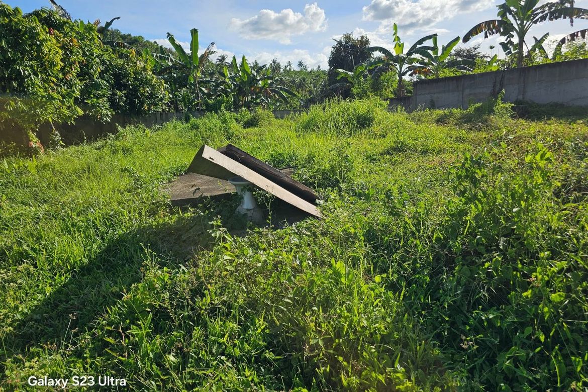 Land for Sale in Bontud, Clarin, Bohol – photo 7