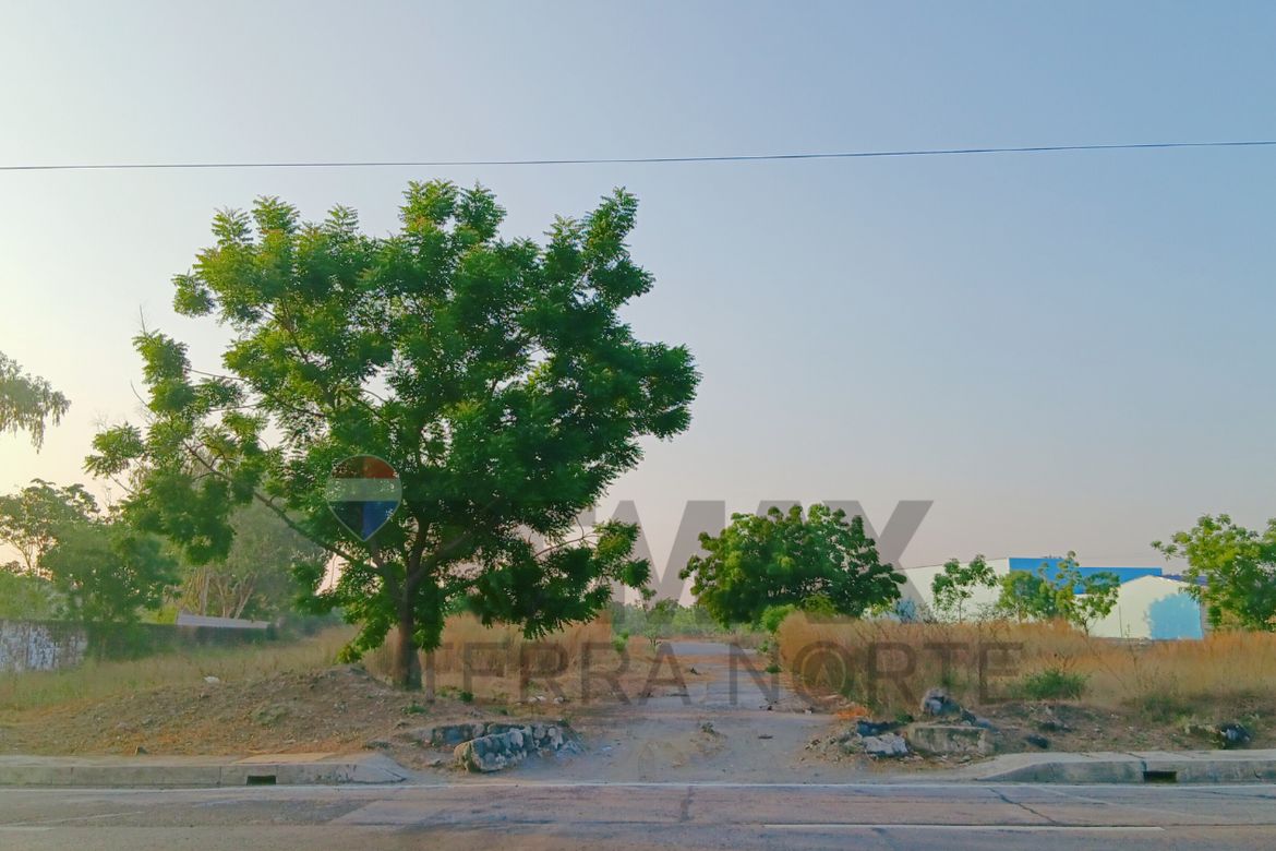 Land for Sale in Bonuan Binloc, Dagupan, Pangasinan – photo 6