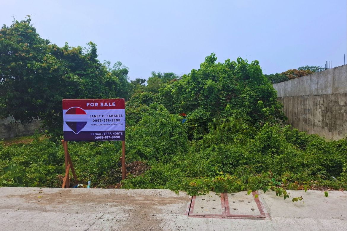 Land for Sale in Bonuan Boquig, Dagupan, Pangasinan – photo 3