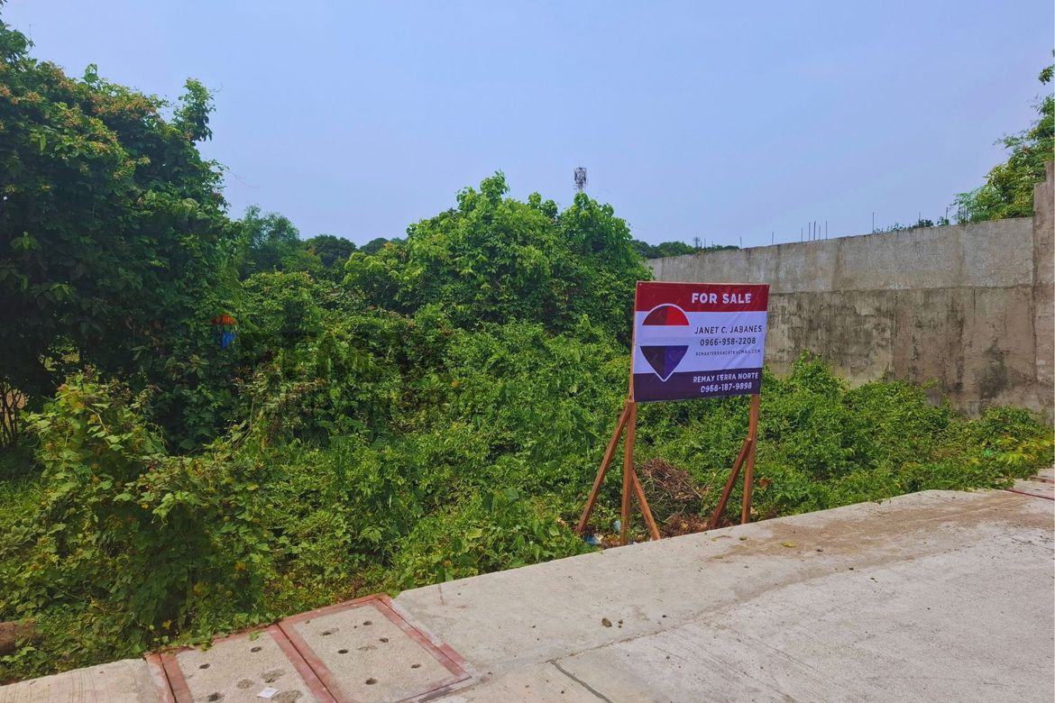 Land for Sale in Bonuan Boquig, Dagupan, Pangasinan – photo 4