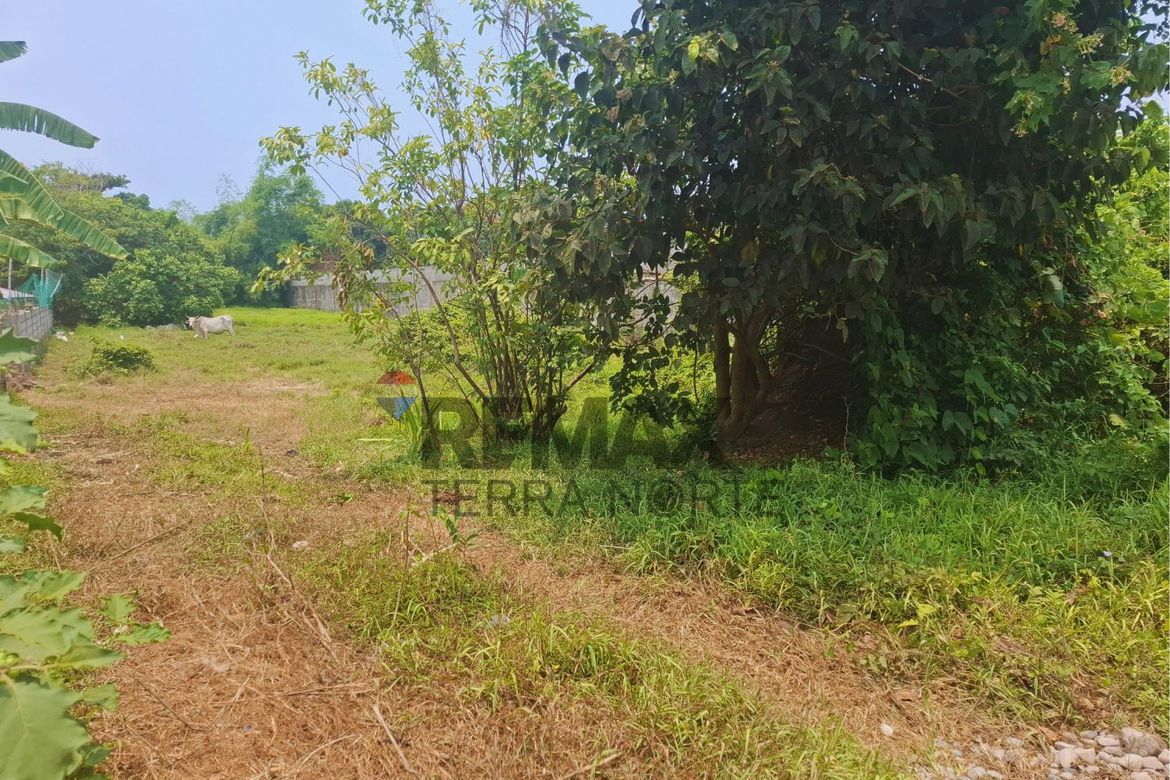 Land for Sale in Bonuan Boquig, Dagupan, Pangasinan – photo 5