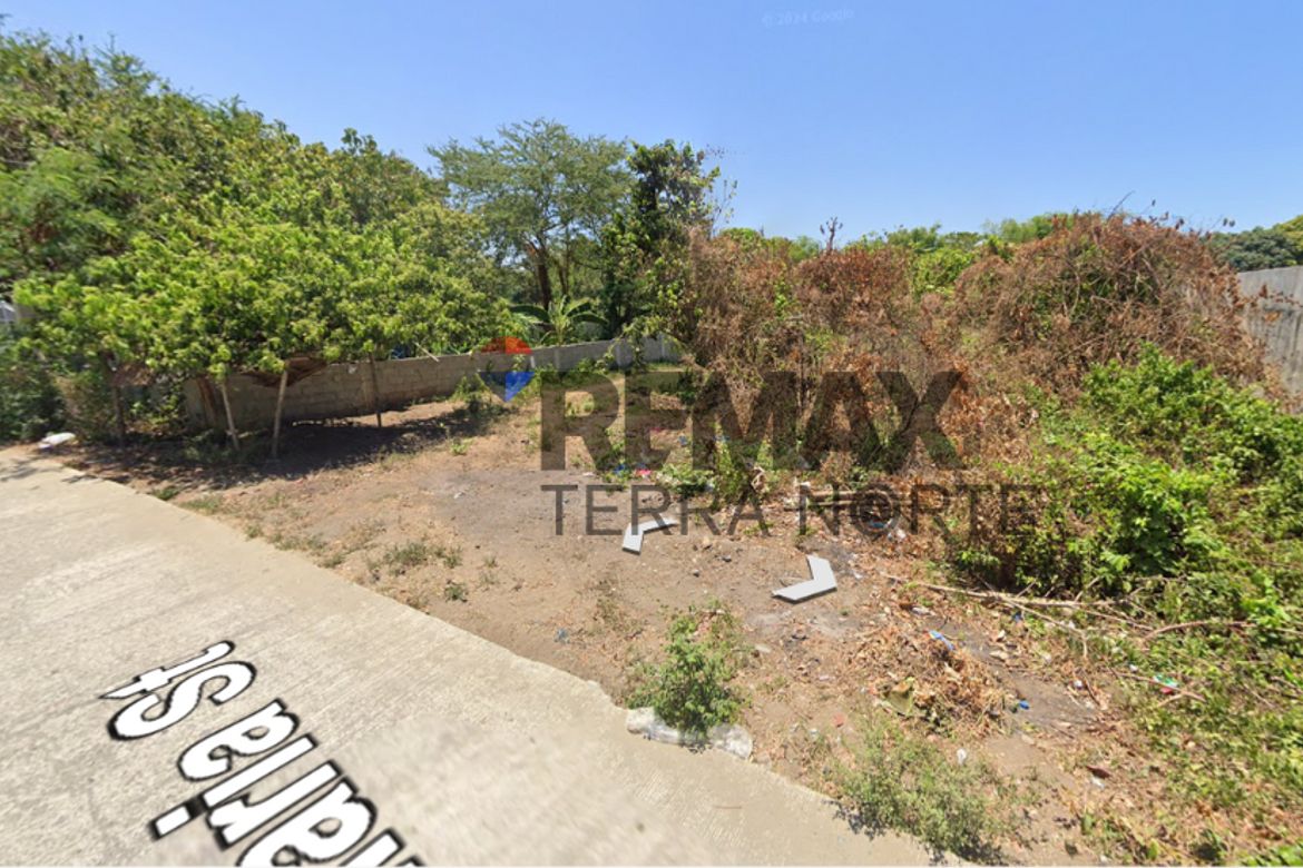 Land for Sale in Bonuan Boquig, Dagupan, Pangasinan – photo 8