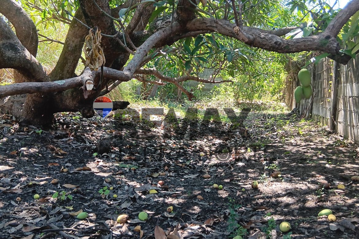 Land for Sale in Bonuan Gueset, Dagupan, Pangasinan – photo 5